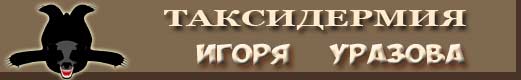 Изготовление чучел Изготовление чучел