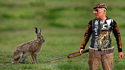 Охота на зайца