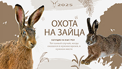Охота на зайца