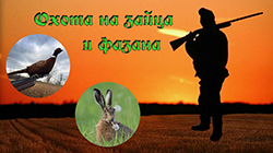 Охота на зайца