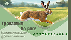 Охота на зайца