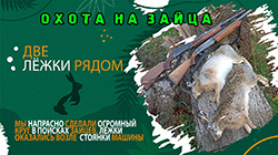 Охота на зайца