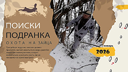 Охота на зайца