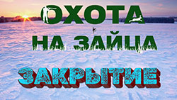 Охота на зайца