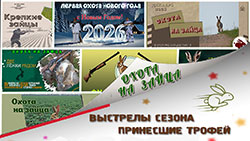 Охота на зайца