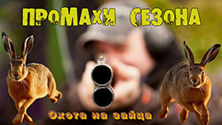 Охота на зайца