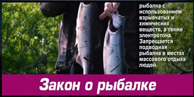 Сроки запрета на рыбалку